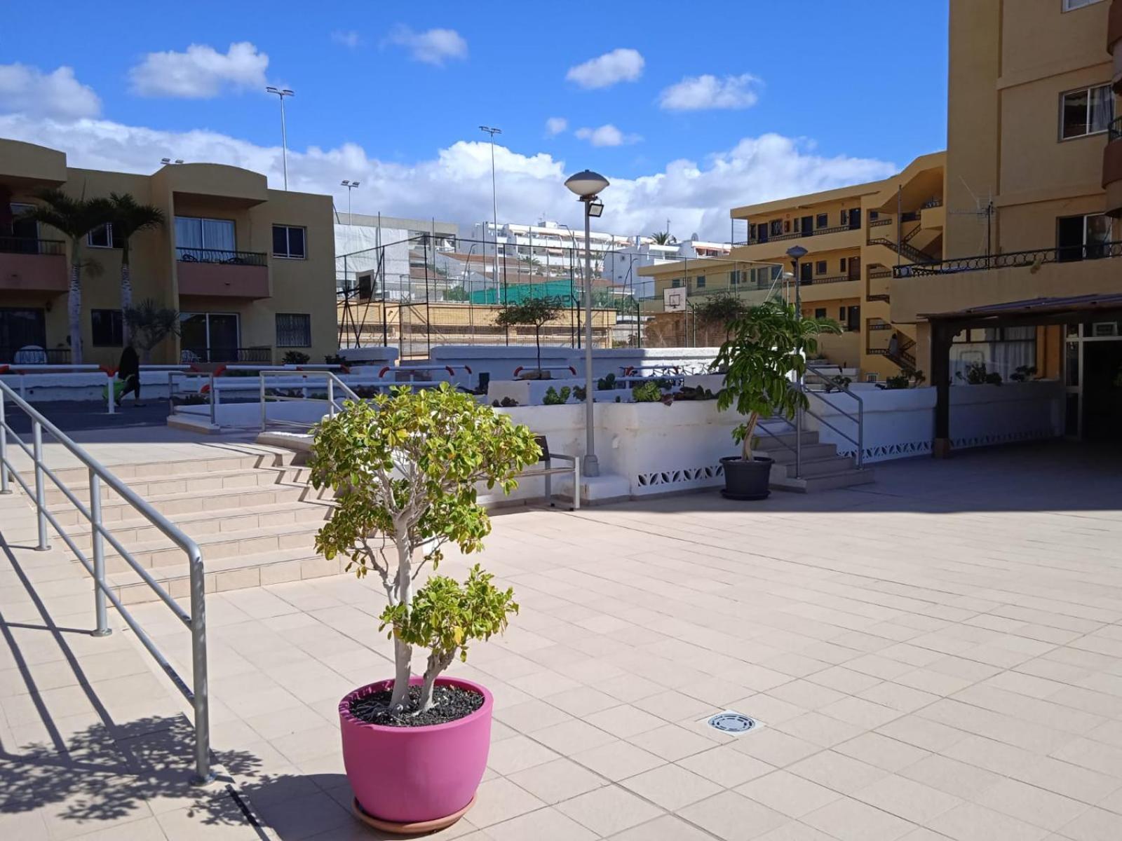 Firstline Apartment Los Cristianos Arona  Dış mekan fotoğraf